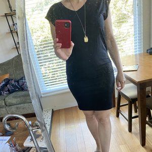 Icebreaker 100% Merino dress